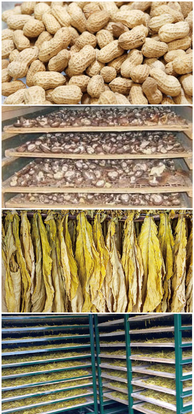 食用菌烘幹處理解決方案